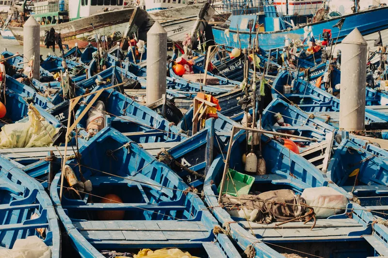 Bateaux de pêche à Essaouira